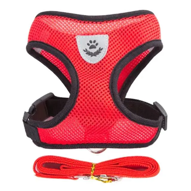 Pet Harness Vest with Lead