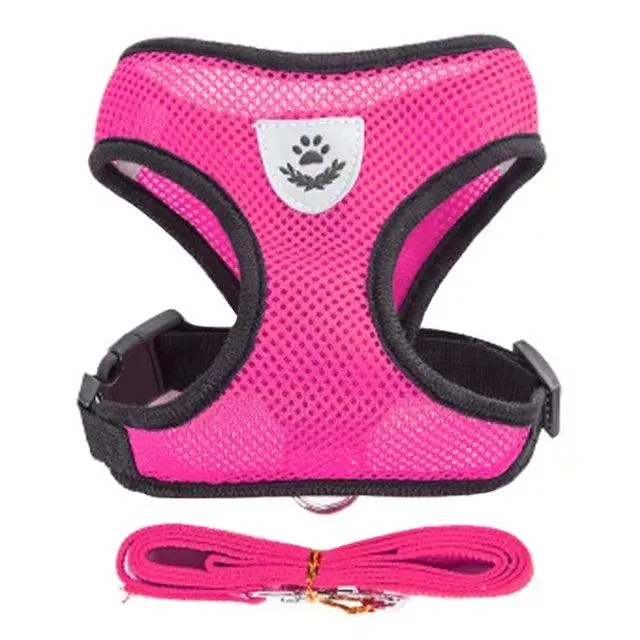 Pet Harness Vest with Lead