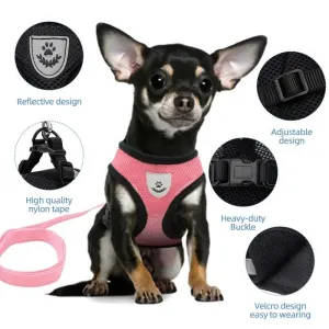 Pet Harness Vest with Lead