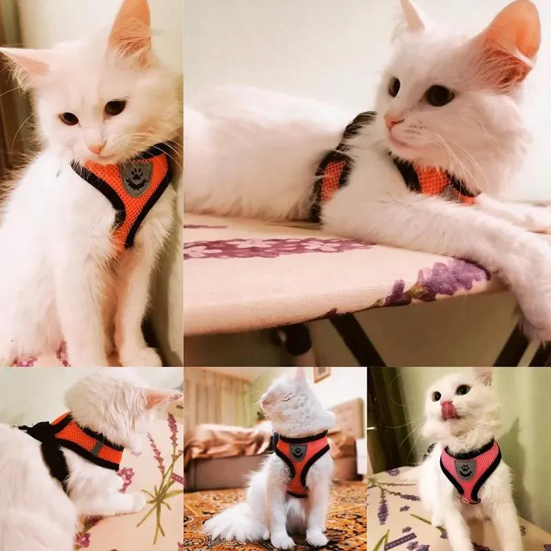 Pet Harness Vest with Lead