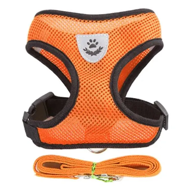 Pet Harness Vest with Lead