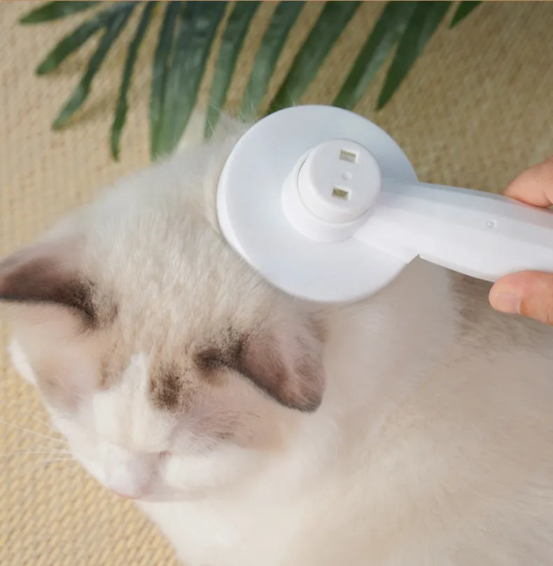 Pet Self Cleaning Slicker Brush