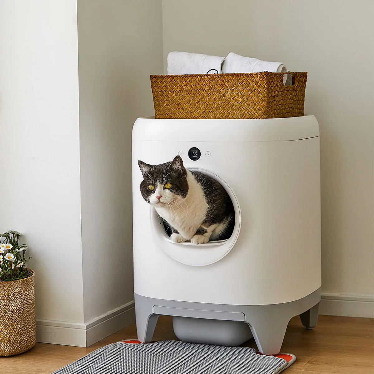 PETKIT PURA x Automated Self-Clean Cat Litter Box