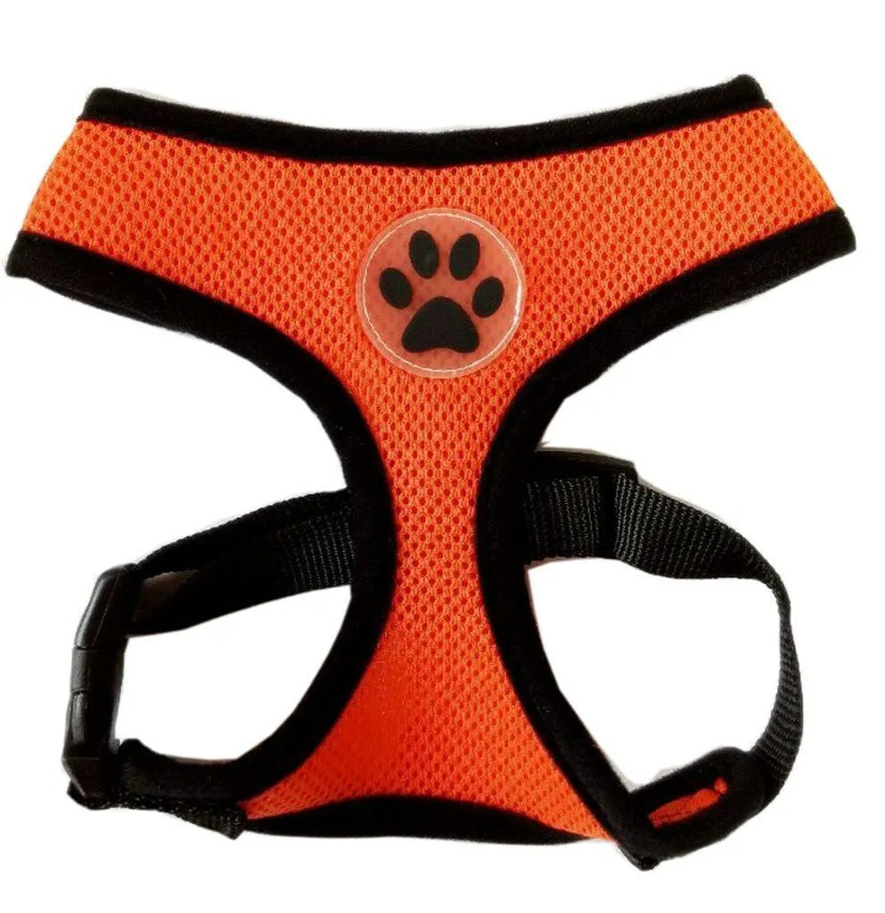 PETLAVISH™ Cute Paw Small Dog Harness: Soft, Breathable, Adjustable Vest XS-L