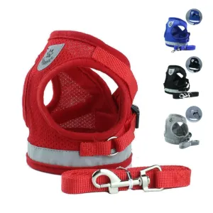 PETLAVISH™ Small Dog Adorable Harness   Leash: Breathable, Adjustable, Soft, Control Vest XXS-L