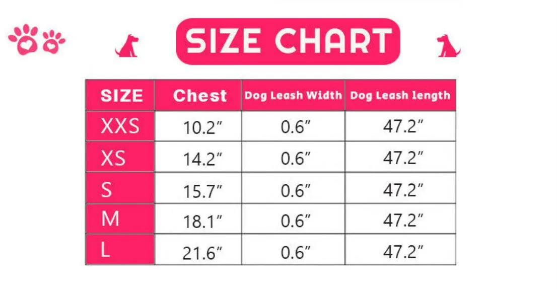 PETLAVISH™ Small Dog Adorable Harness   Leash: Breathable, Adjustable, Soft, Control Vest XXS-L