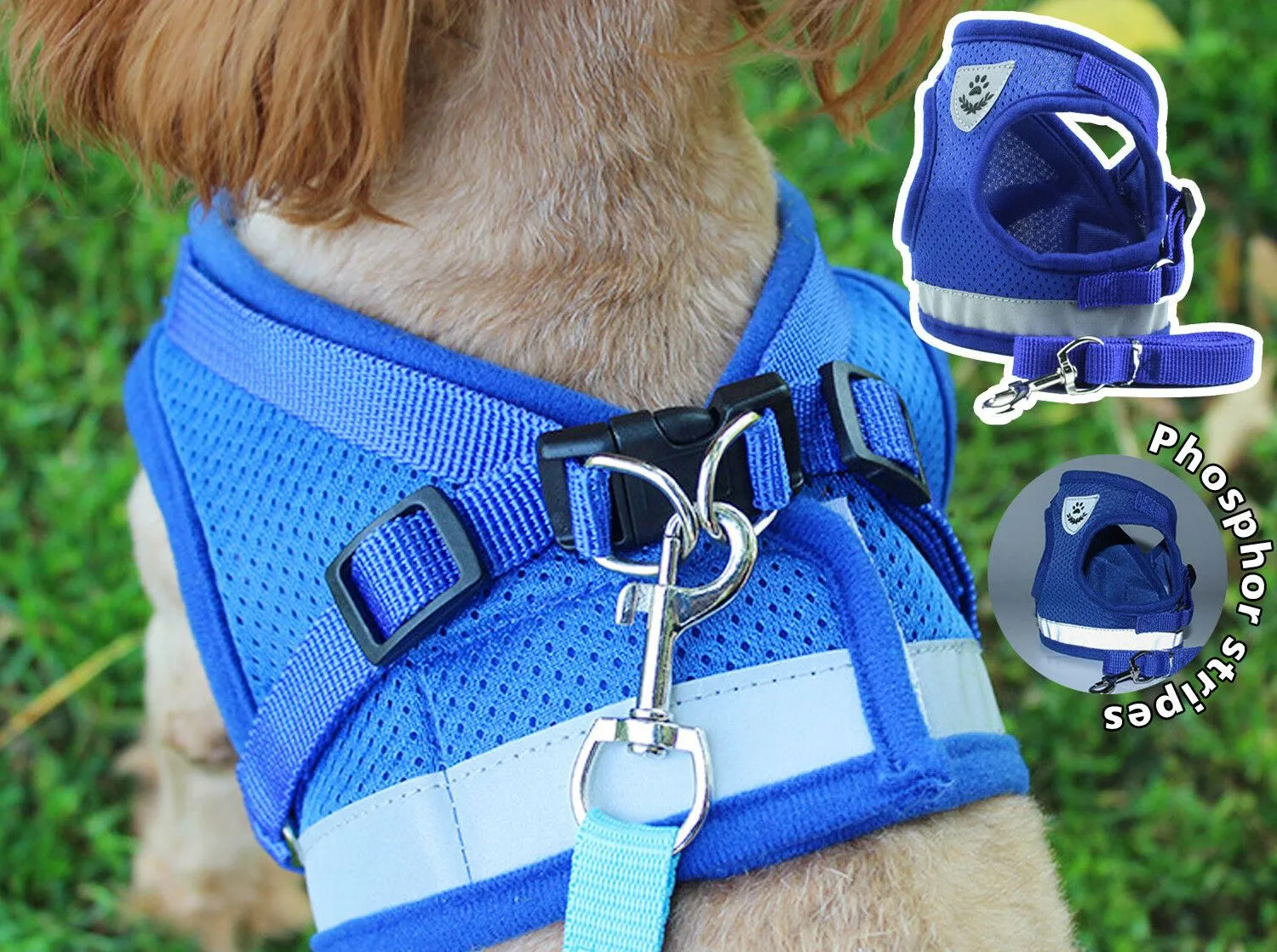 PETLAVISH™ Small Dog Adorable Harness   Leash: Breathable, Adjustable, Soft, Control Vest XXS-L