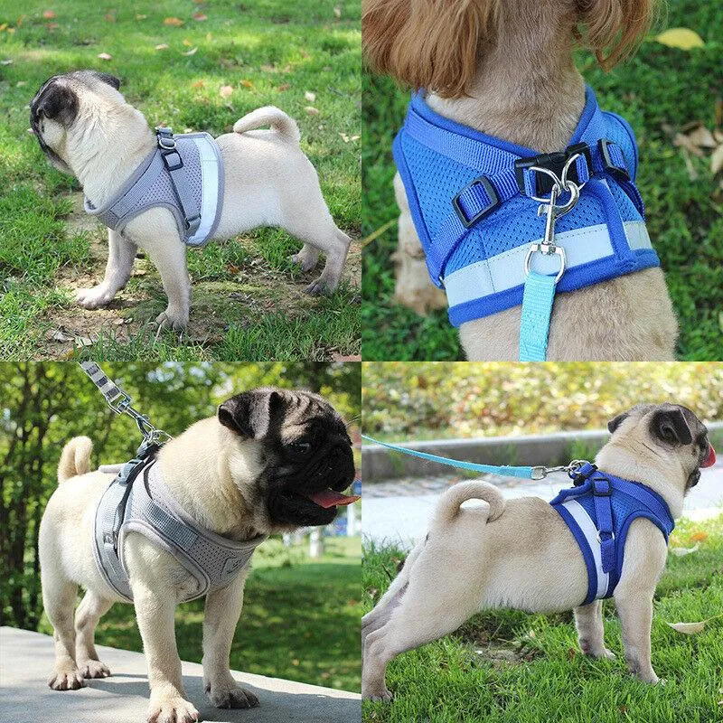 PETLAVISH™ Small Dog Adorable Harness   Leash: Breathable, Adjustable, Soft, Control Vest XXS-L