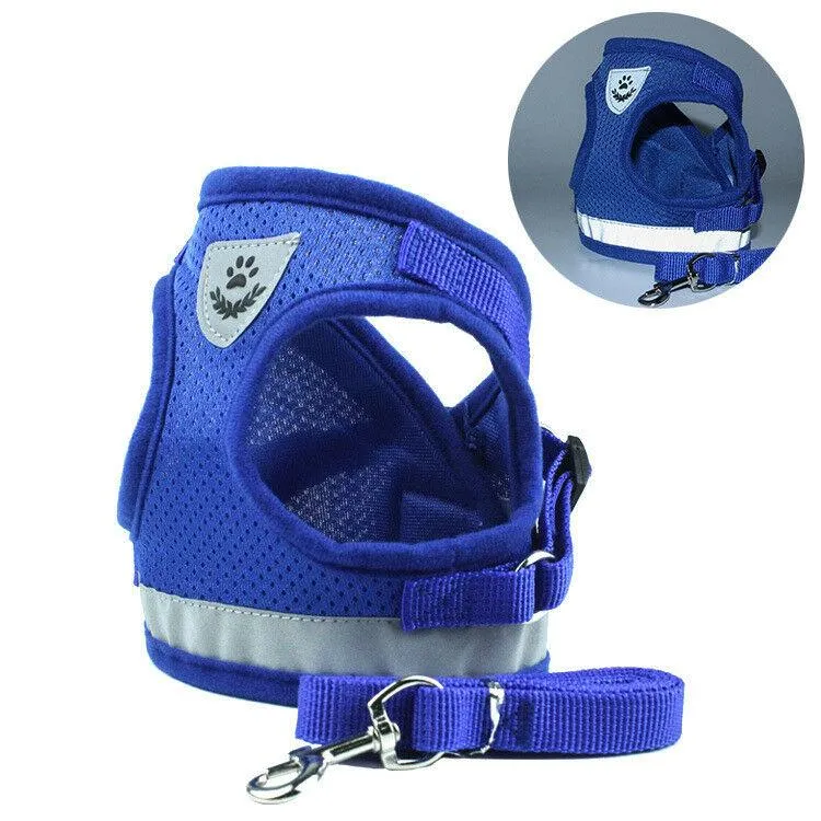 PETLAVISH™ Small Dog Adorable Harness   Leash: Breathable, Adjustable, Soft, Control Vest XXS-L