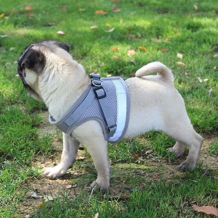 PETLAVISH™ Small Dog Adorable Harness   Leash: Breathable, Adjustable, Soft, Control Vest XXS-L