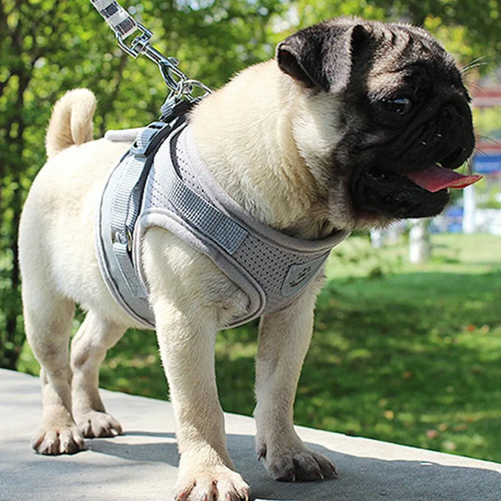 PETLAVISH™ Small Dog Adorable Harness   Leash: Breathable, Adjustable, Soft, Control Vest XXS-L