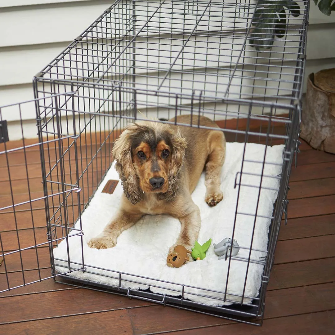 Premium Pet Crate