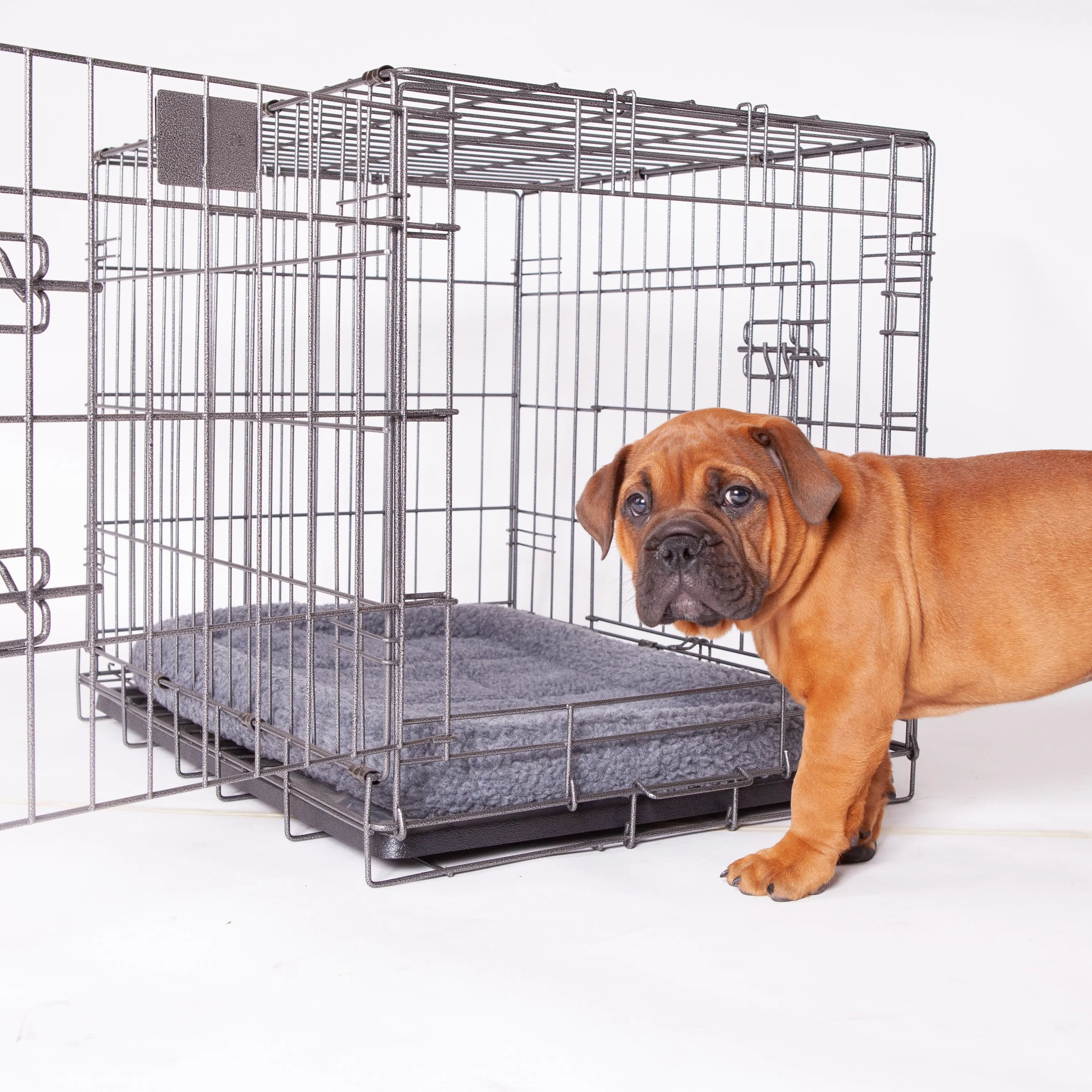 Premium Pet Crate