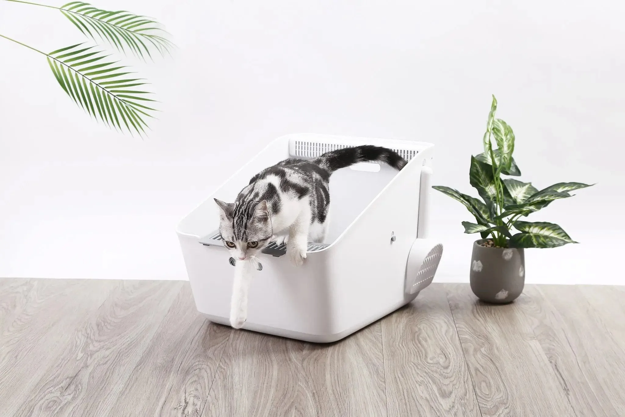 Pura Detective Deodorizing Cat Litter Box