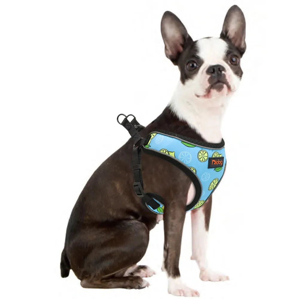 Reflective Nylon Harness Vest for Small to Medium Dogs and Cats