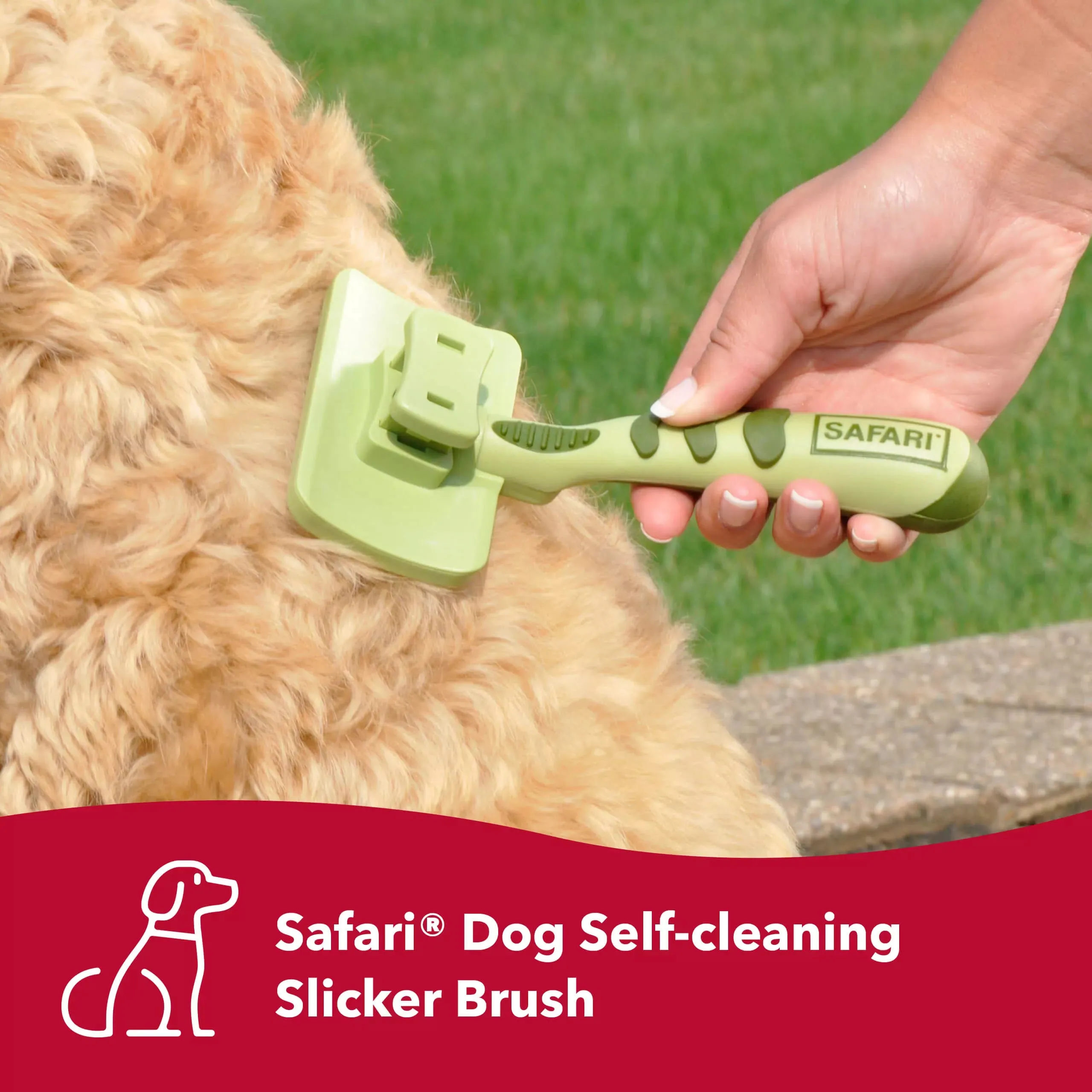 Safari Dog Self-Cleaning Slicker Brush