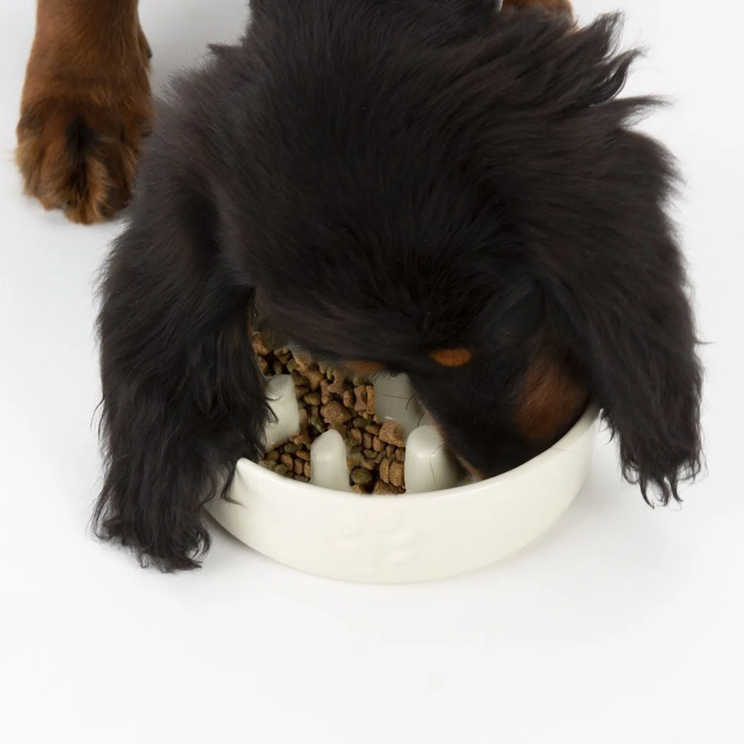 Scruffs Classic Slow Feeder Ceramic Bowl