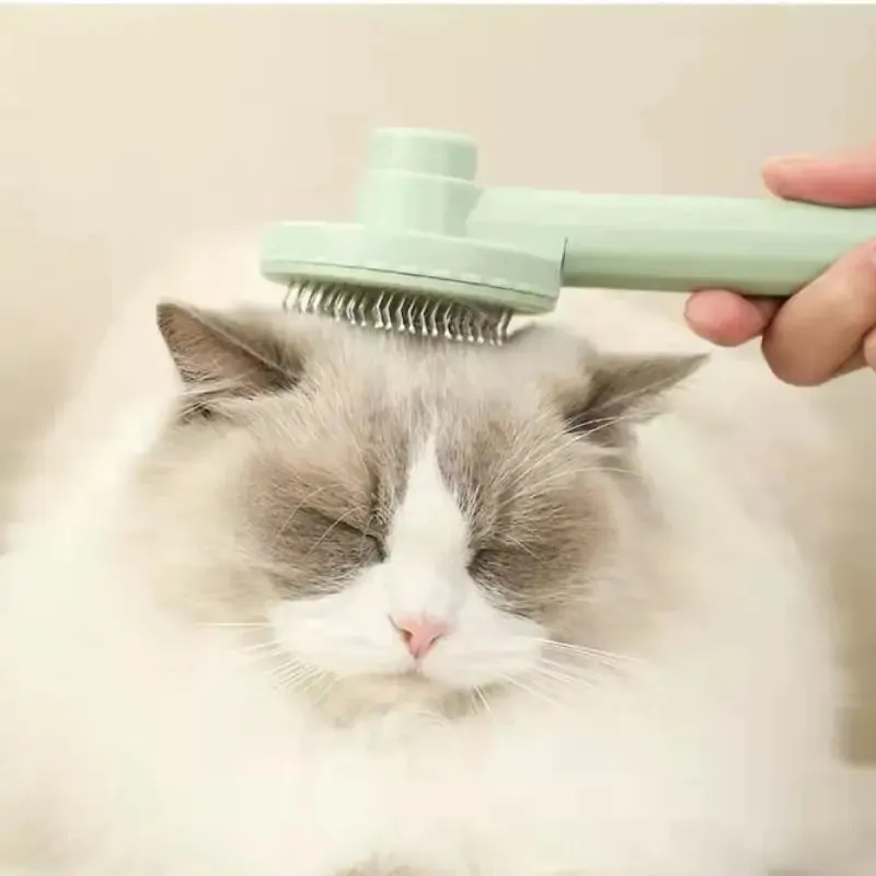 Self Cleaning Pet Grooming Brush