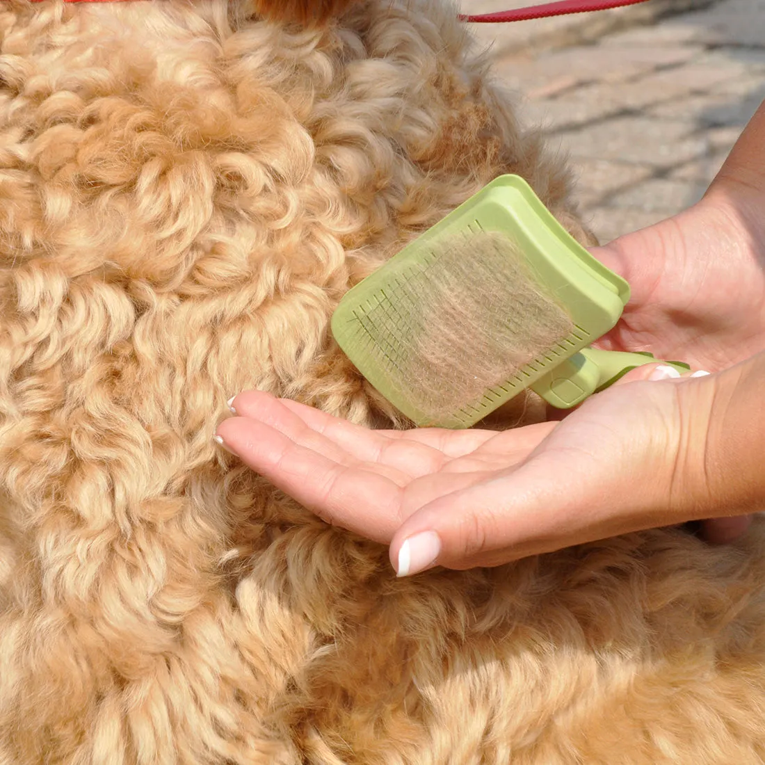 Self-Cleaning Slicker Brush