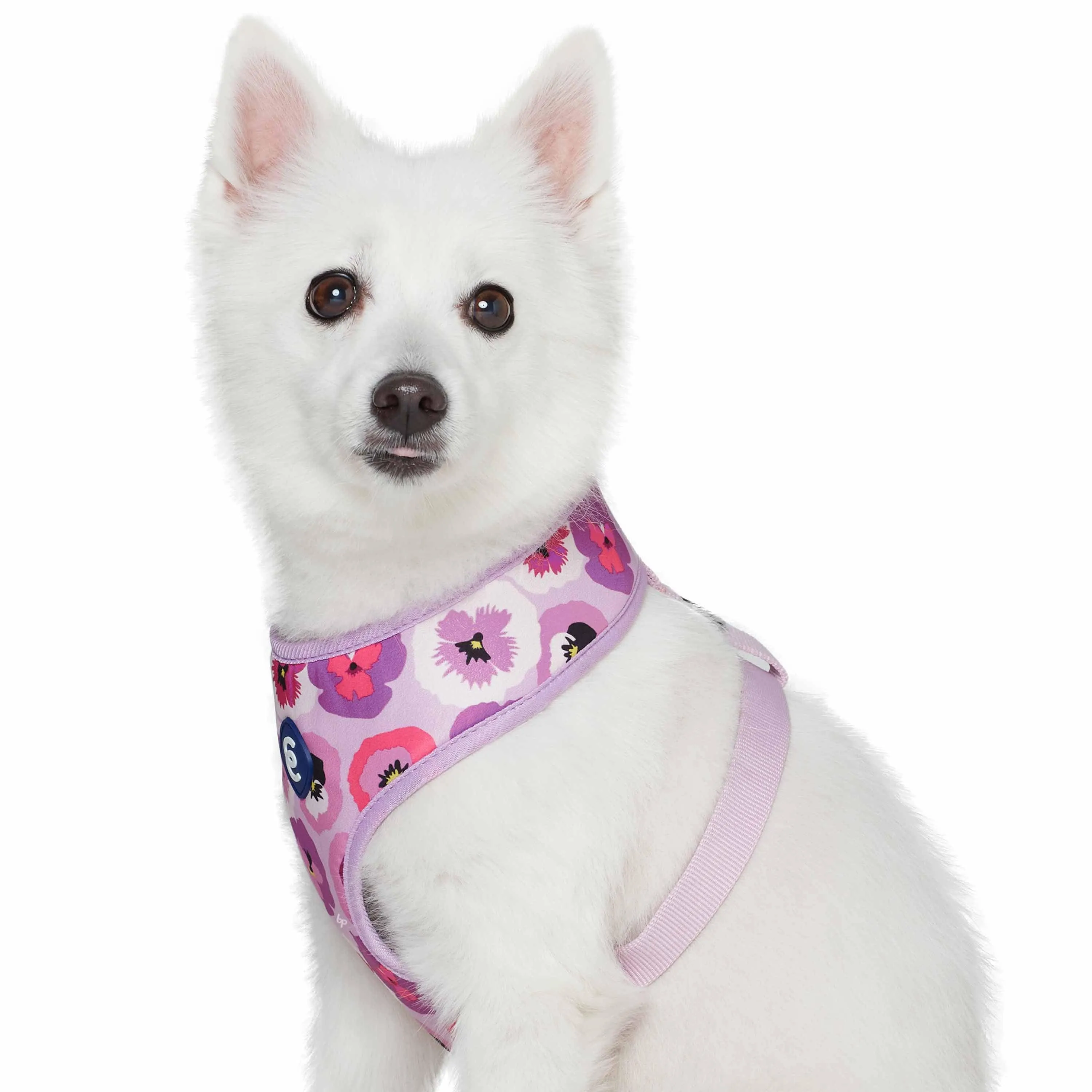 Spring Scent Inspired Garden Floral Dog Harness Vest