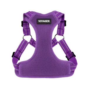 Step-In Flex Dog Harness: Comfortable for Every Adventure