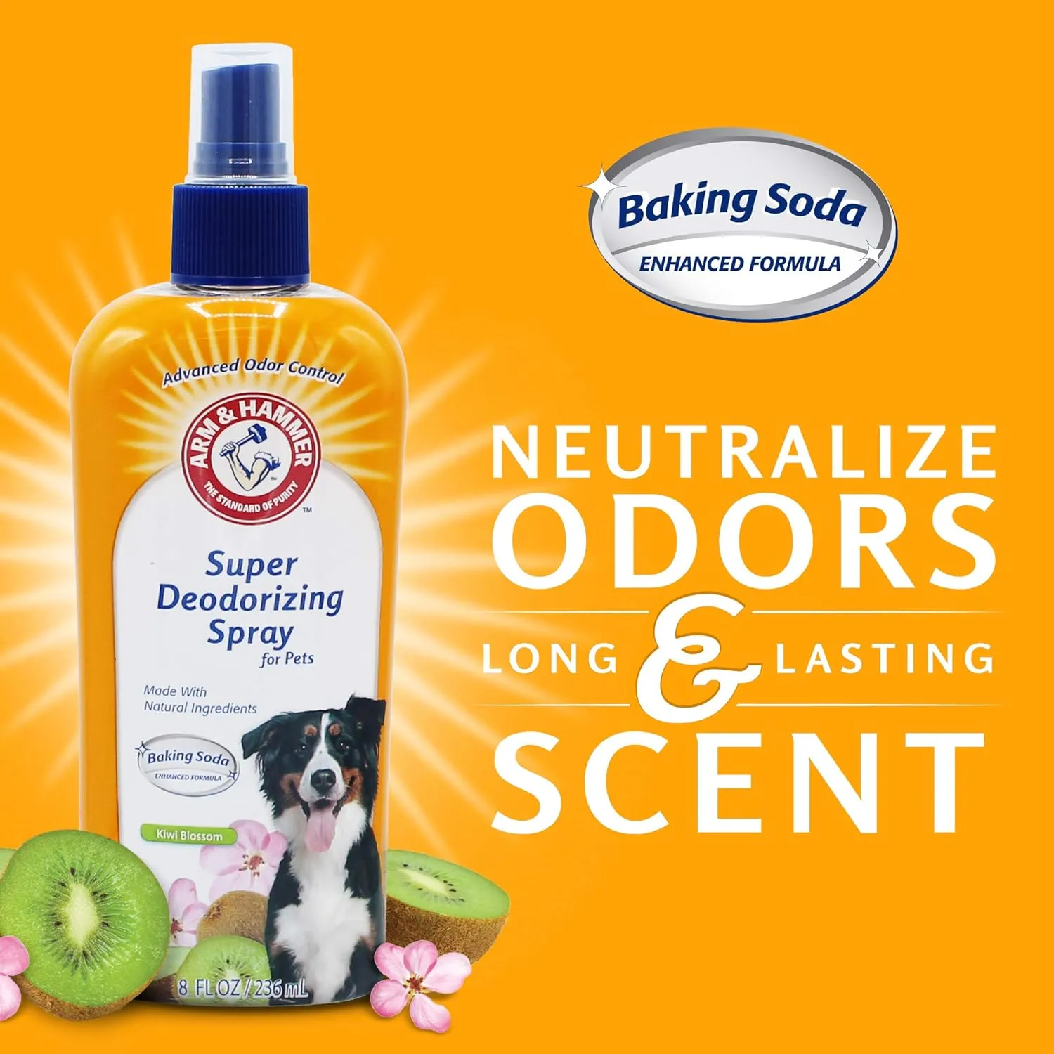 Super Deodorizing Spray for Dogs