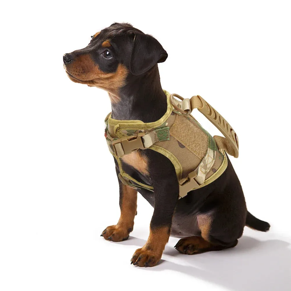 Tactical Cat Harness and Leash – Adjustable Vest for Small Dogs and Kittens