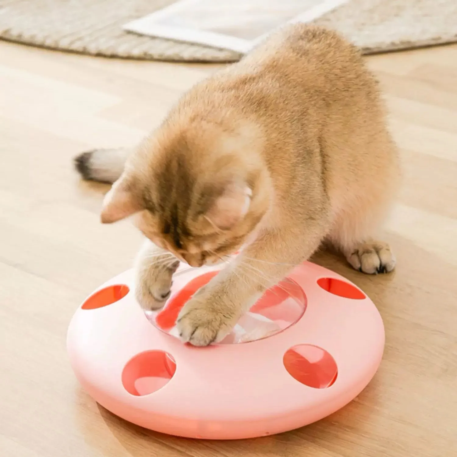 UFO Automatic Cat Toy